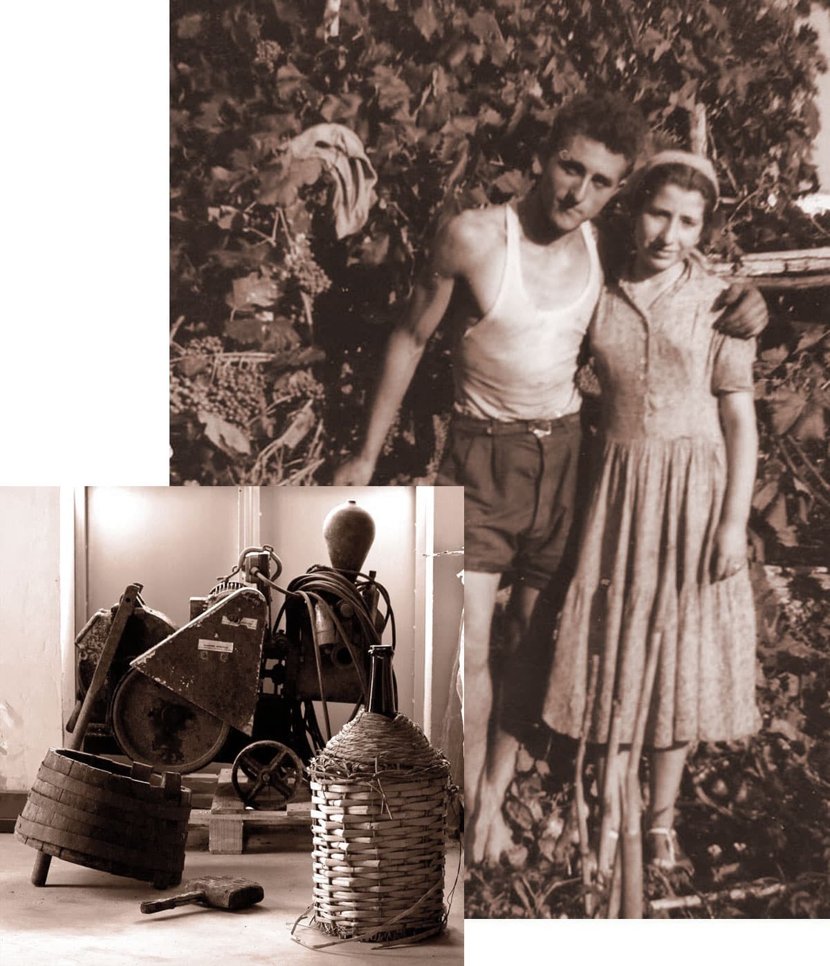 Cosmo e Virginia Ciccariello e gli attrezzi della cantina storica