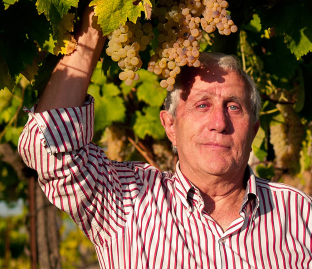 La tradizione della Casa Vinicola Ciccariello