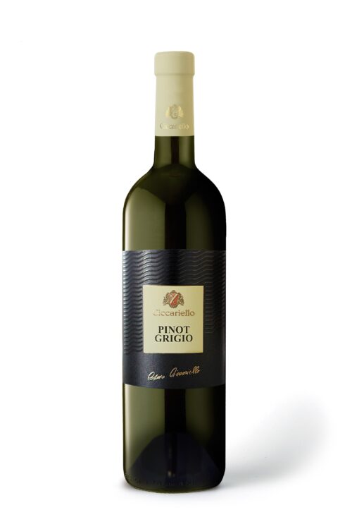 Pinot Grigio IGP Lazio, Cosmo Ciccariello Line
