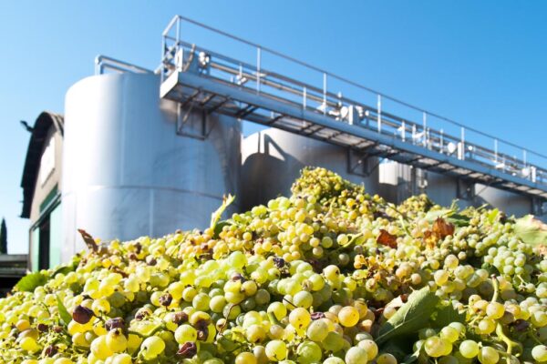 Azienda,