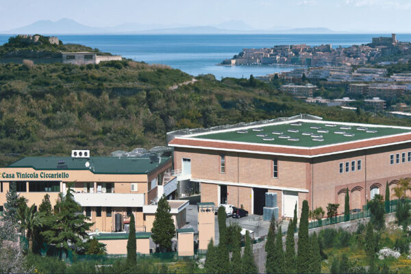 Azienda,