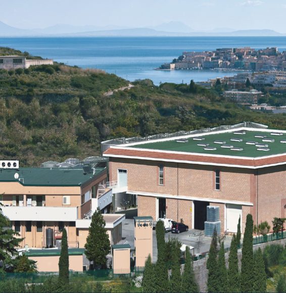 Azienda,